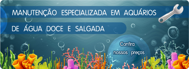 Design de Loja Virtual - Agora  GRTIS - Lojas Virtuais BR