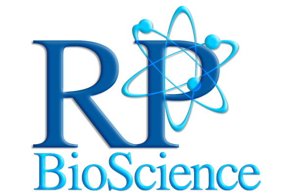 Design de Loja Virtual - Agora  GRTIS - Lojas Virtuais BR