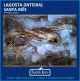 LAGOSTA - INTEIRA (CAIXA COM 20 KILOS)