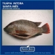 TILPIA - INTEIRA EVISCERADA
