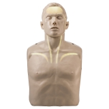 Manequim de Treinamento RCP- Brayden Com Visualizao Efeitos e Benefcios de uma RCP de Qualidade