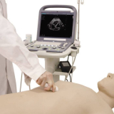 SIMULADOR TORSO PARA TREINAMENTO DE ULTRASSOM (PHANTOM)