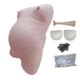 SIMULADOR DE EXAME MATERNO AVANCADO