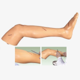 SIMULADOR AVANCADO PARA SUTURA MEMBRO INFERIOR (Perna)