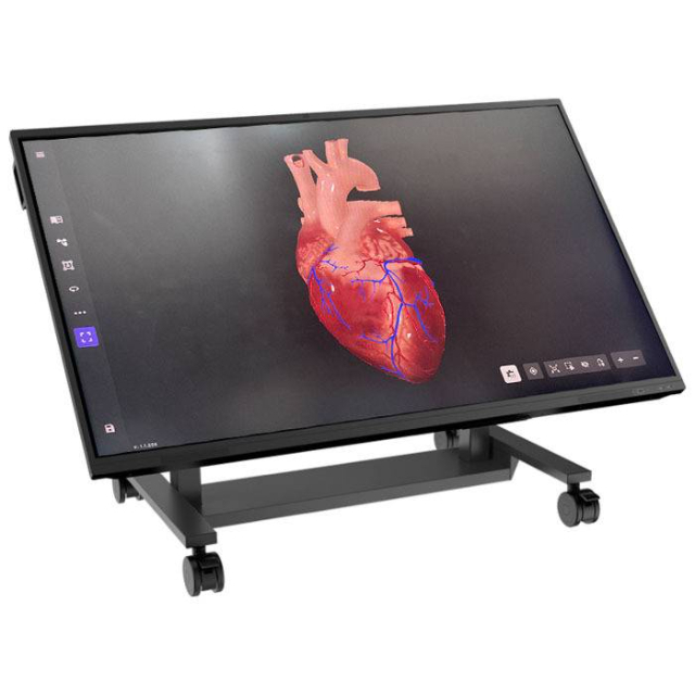 PLATAFORMA DE ANATOMIA DIGITAL, COM TELA 86 4K, TOUCH SCREEN, SUPORTE INCLINAVEL, WINDOWS 11