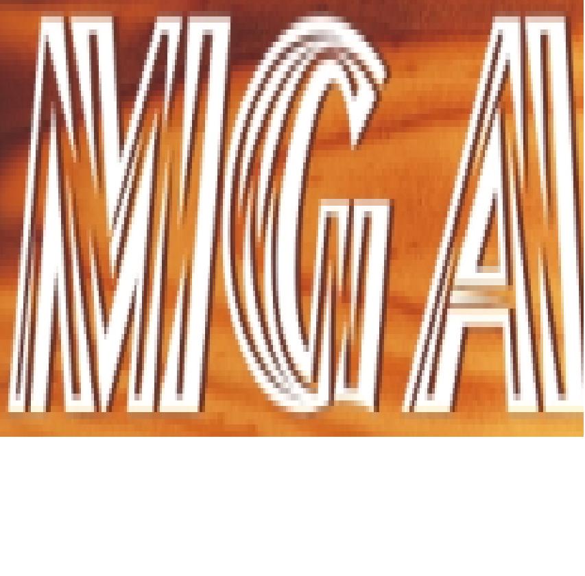 MGA MESAS PARA CHURRASCO