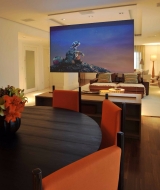 Pelcula para Projeo Dual transparente