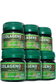 COLAGENO TIPO II - 6 POTES