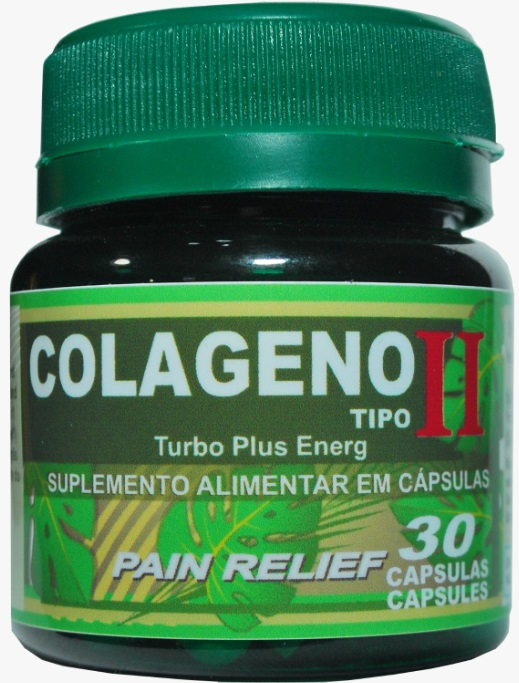COLAGENO TIPO II - 1 POTE