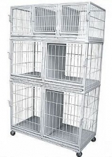 Canil de Ao Carbono (07 lugares) 