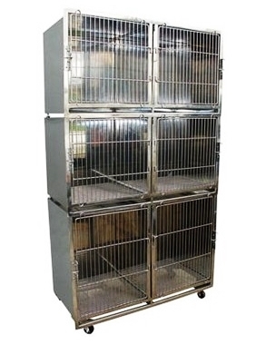 Canil de Ao Inox 304 (06 lugares)