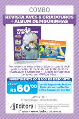 Combo Revistas + lbum de Figurinhas