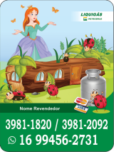 Im de Geladeira Princesas Liquigs