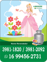 Im de Geladeira Princesas Liquigs