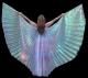 V�u wings Furtacor eg�pcio 6m