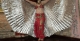 V�u wings prata eg�pcio 6 metros