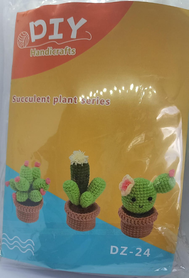 Amiguri vasos cactos