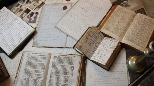 Licenciatura em Hist�ria. MATR�CULA:
