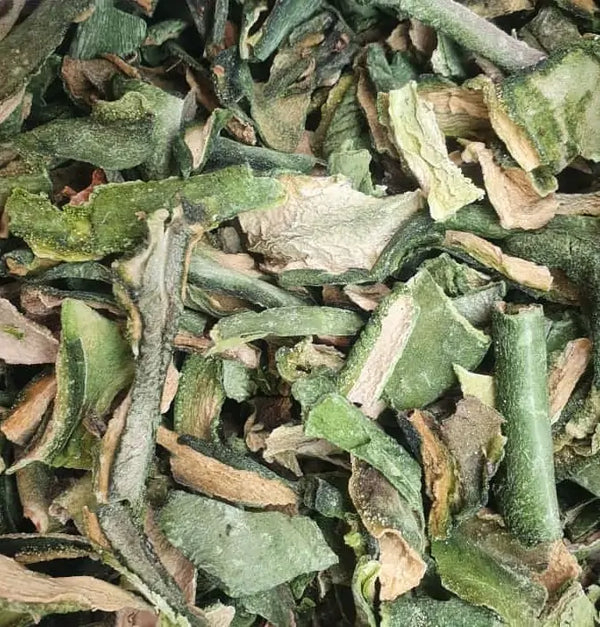 Cacto Sagrado San-Pedro (Echinopsis pachanoi)